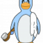 andrerdes